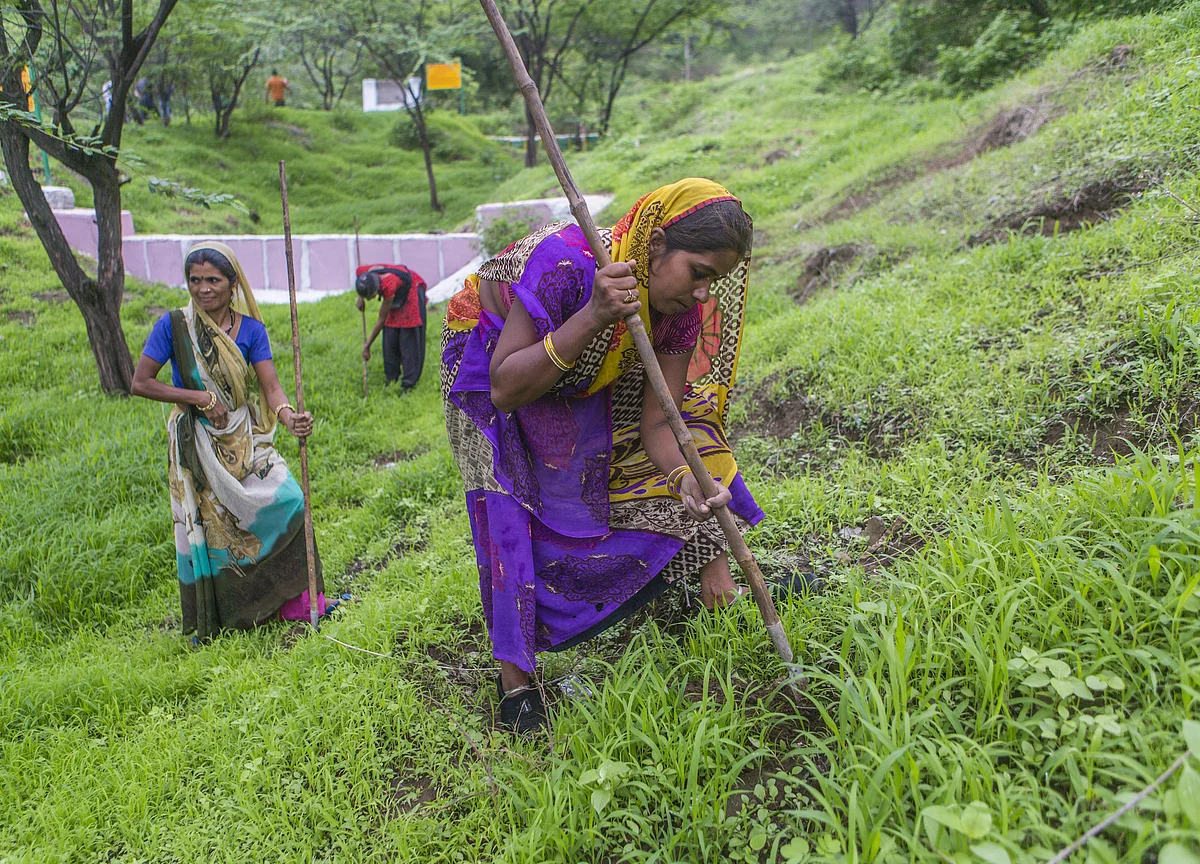 How Governments Across India Are Violating Forest Rights