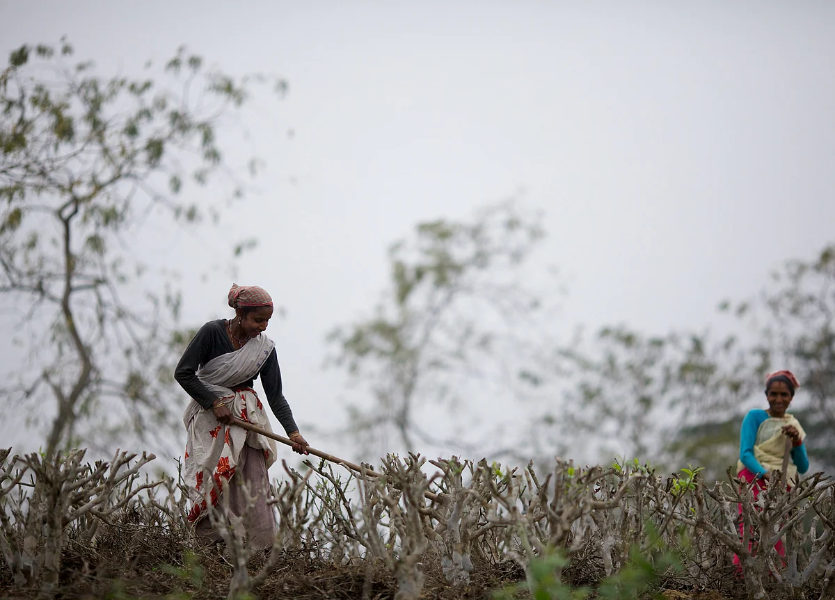 Three In Four Indian Women Don’t Work. Can Skilling And Guaranteed Jobs Change That?