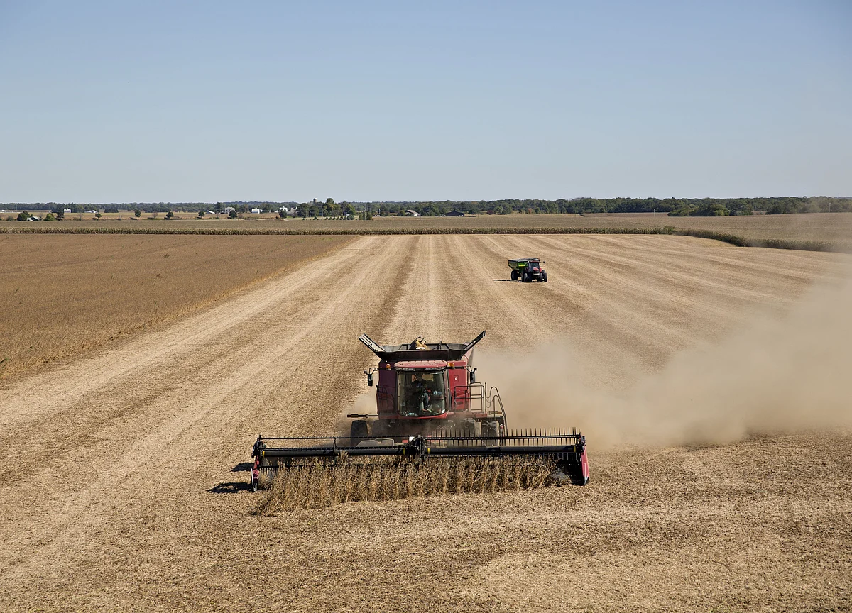 Global Agriculture Has a Planting Problem