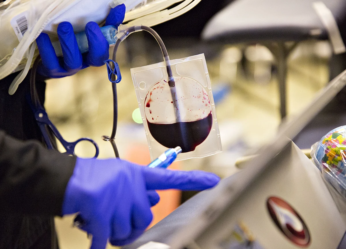 The Bloody Tale of Ambrosia, the Startup That Wants to Slow Aging