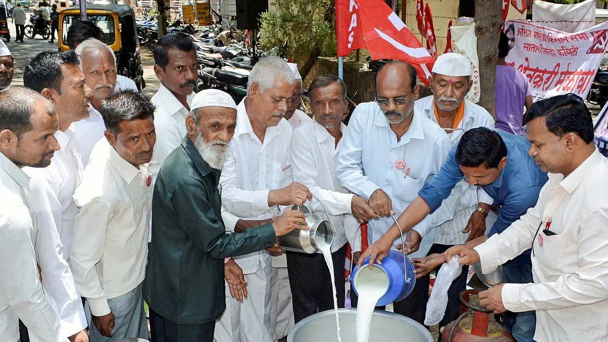 Kisan Sabha activists with farmers distribute milk free of cost to protest the low procurement prices by dairies in the state, in Karad, Maharashtra on Thursday. (Source: PTI)