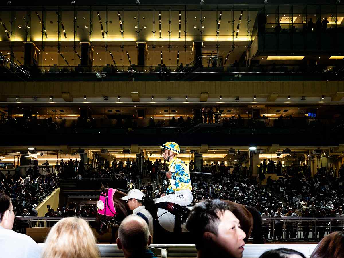 The Gambler Who Cracked The Horse Racing Code And Made 1 Billion