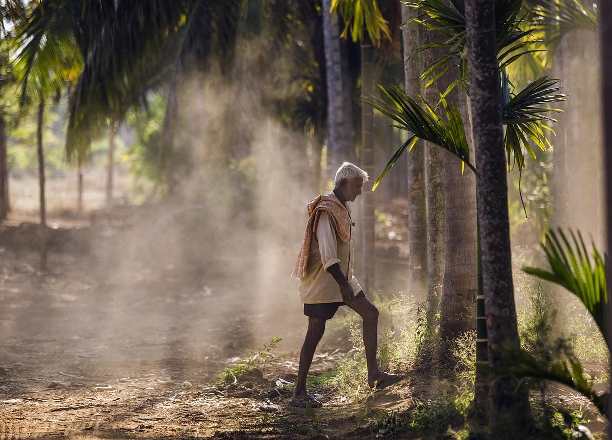 India Considering Paying Farmers Cash Instead of Subsidies
