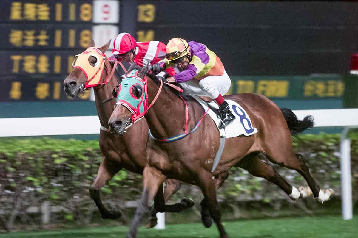 The Gambler Who Cracked The Horse Racing Code And Made 1 Billion