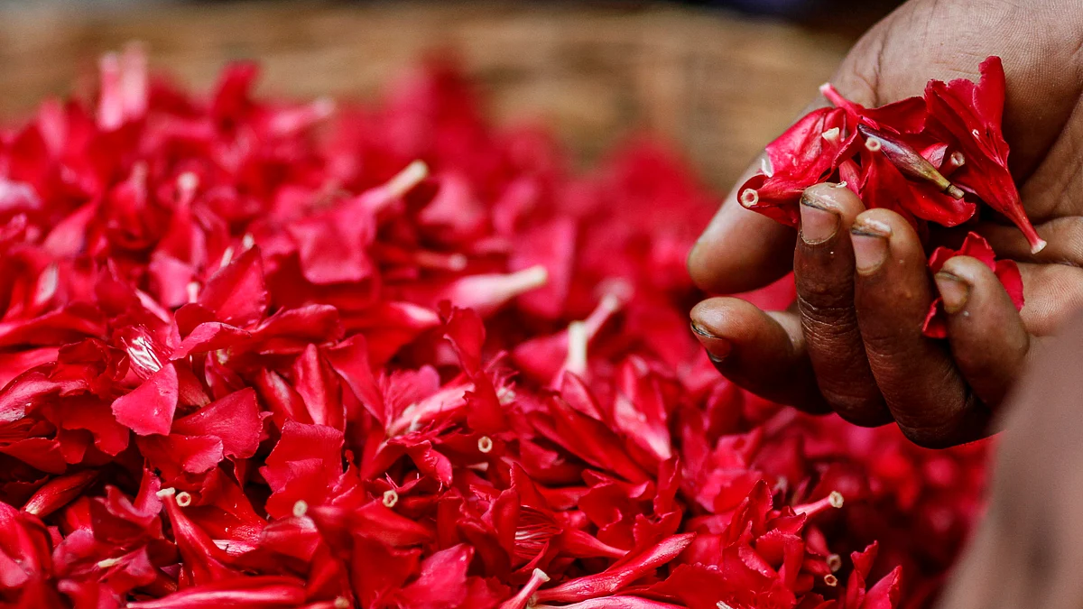 Flowers displayed for sale. (Photographer: Dhiraj Singh/Bloomberg)