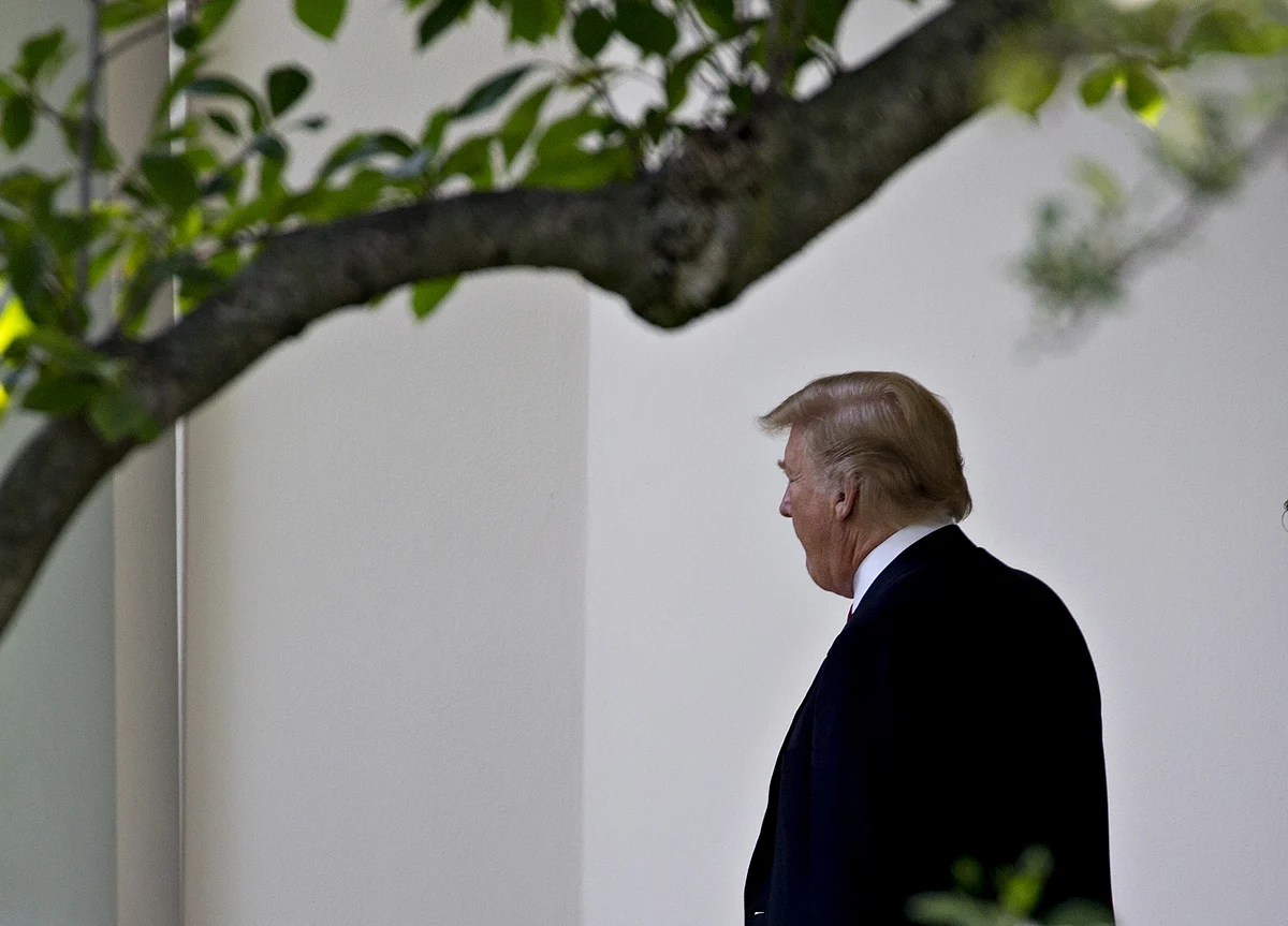 Trump Wants Better WTO Treatment, Adviser Hits Back at Critics