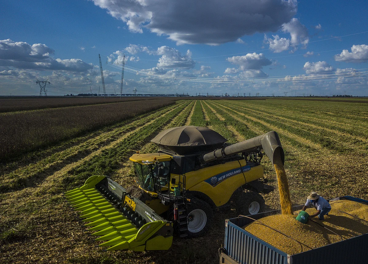 Trade War Hits Trump Heartland as China Targets Farms, Mines