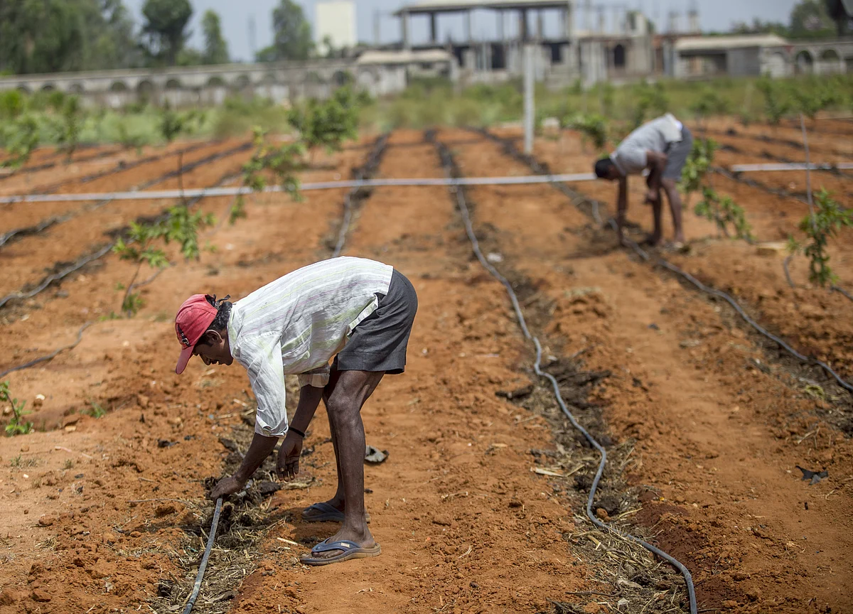 Farm Loan Waivers To Hit States’ Fiscal Deficit Targets, Says Report