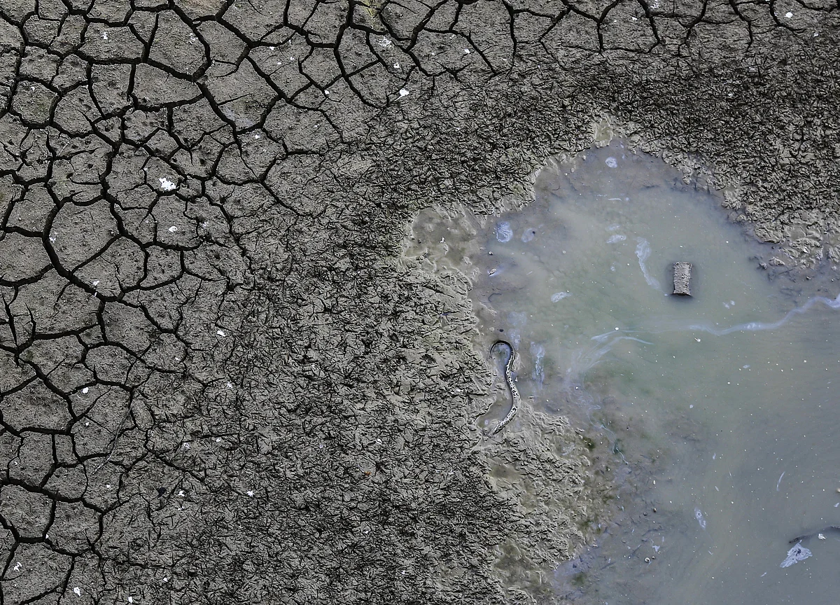 Changing Monsoon Patterns Worsening India’s Water Crisis, Conflicts: Study