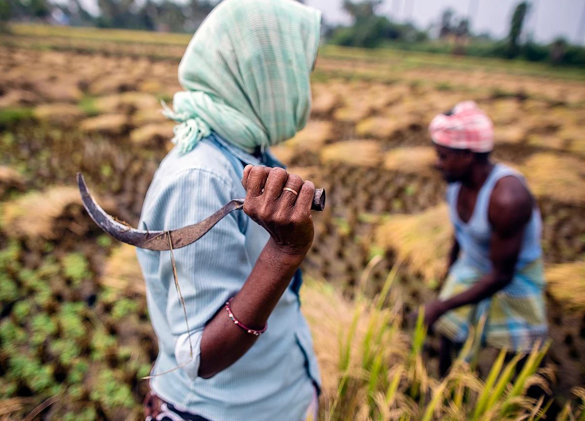 Farmers’ Body Sees No Relief In Modi’s Hike In Support Prices For Kharif Crops