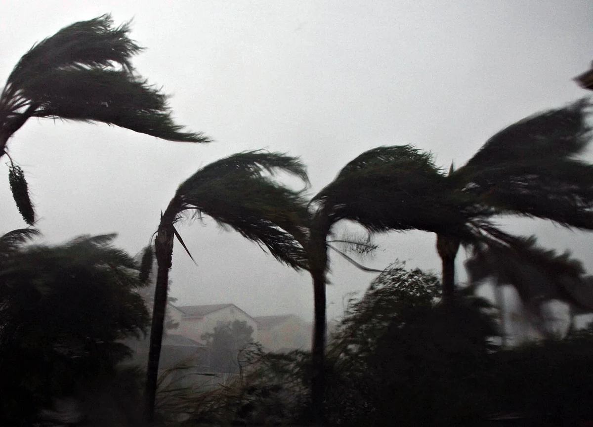 Storm of News to Hit Global Economy This Week Before August Calm