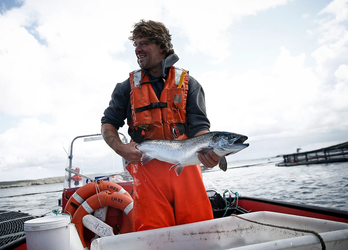 The $300 Million Plan to Farm Salmon in the Middle of the Ocean