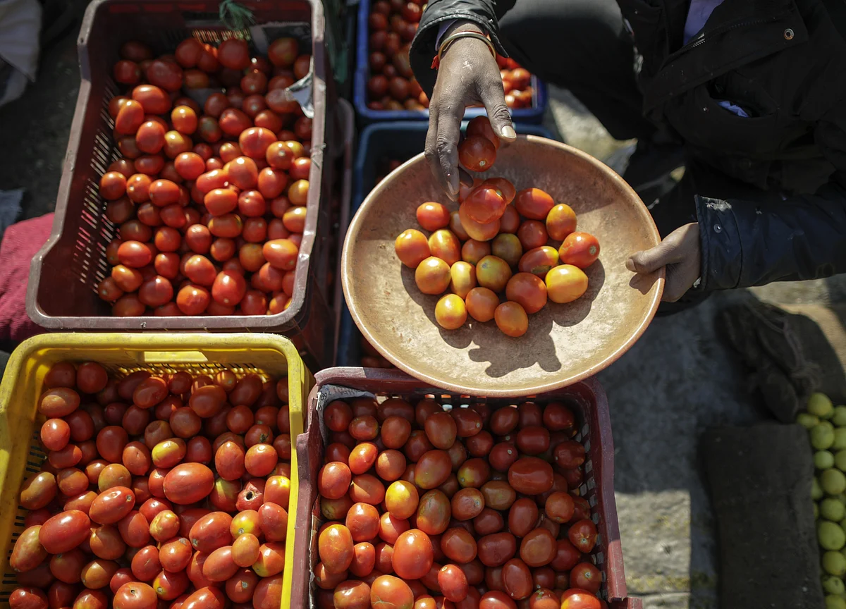 Now, Tomato Price Soar To Rs 80 Per Kg In Delhi