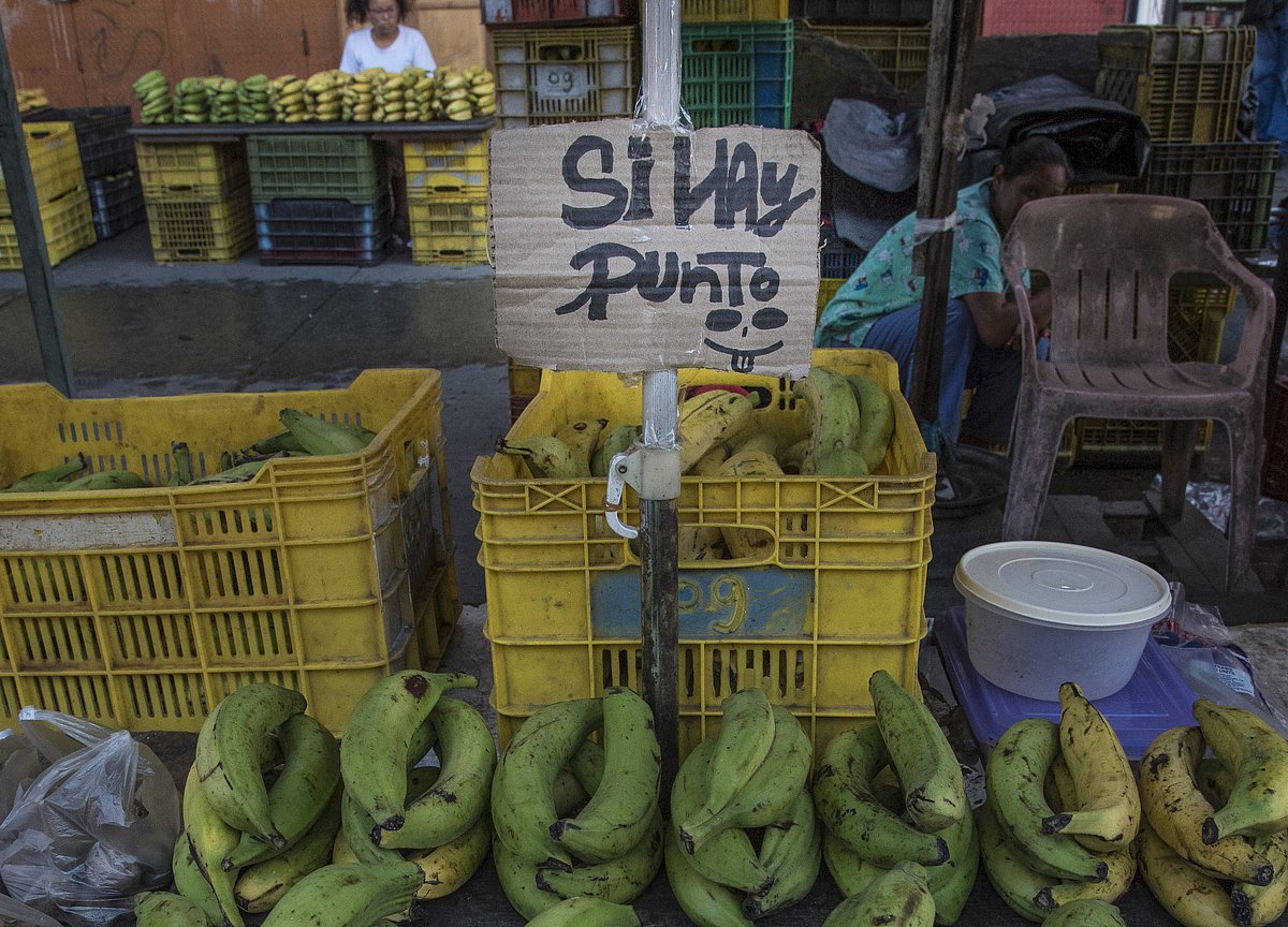 Venezuela's Inflation to Reach 1 Million Percent, IMF Forecasts