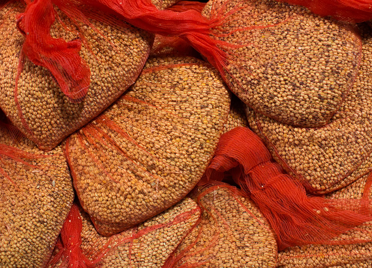 How U.S. Soybeans Can Skirt Trade-War Tariffs to End Up in China