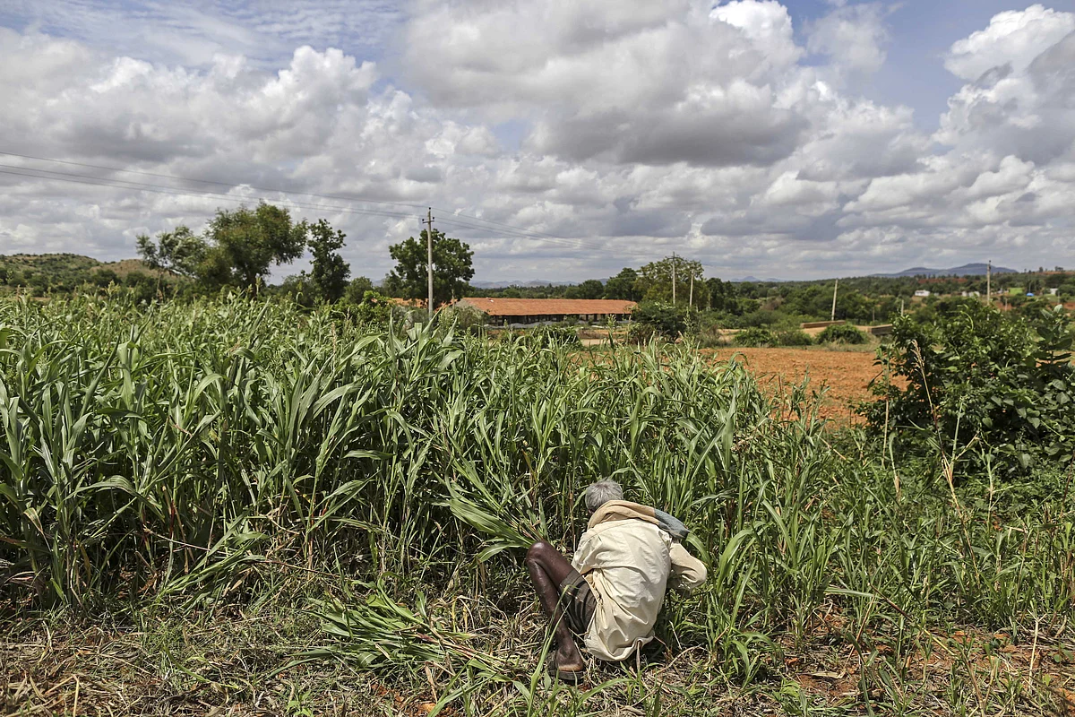 Wage Growth As Critical As Farm Incomes To Ease Rural Distress: India Ratings