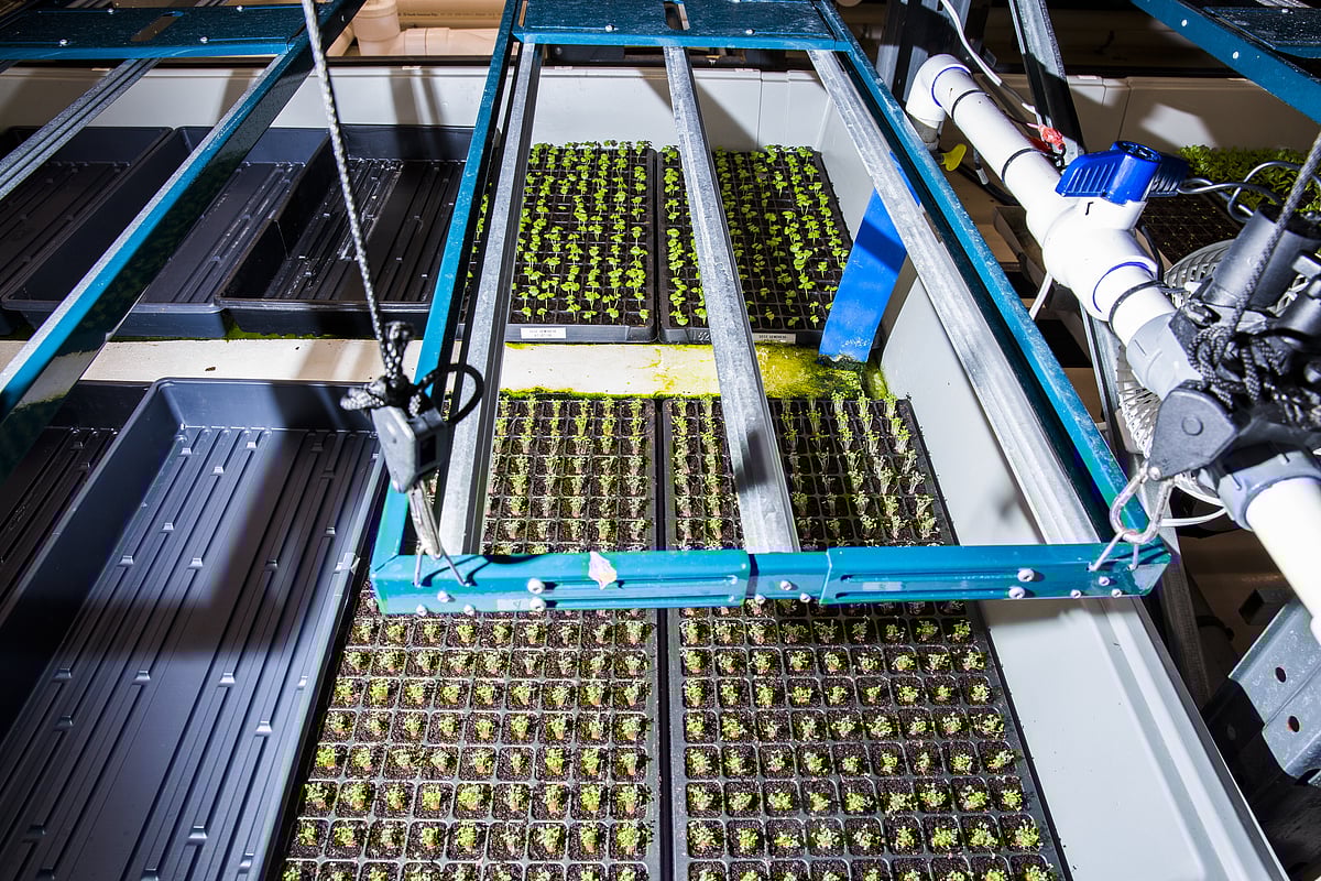 At This High-Tech Farm, the Boss Is an AI-Powered Algorithm