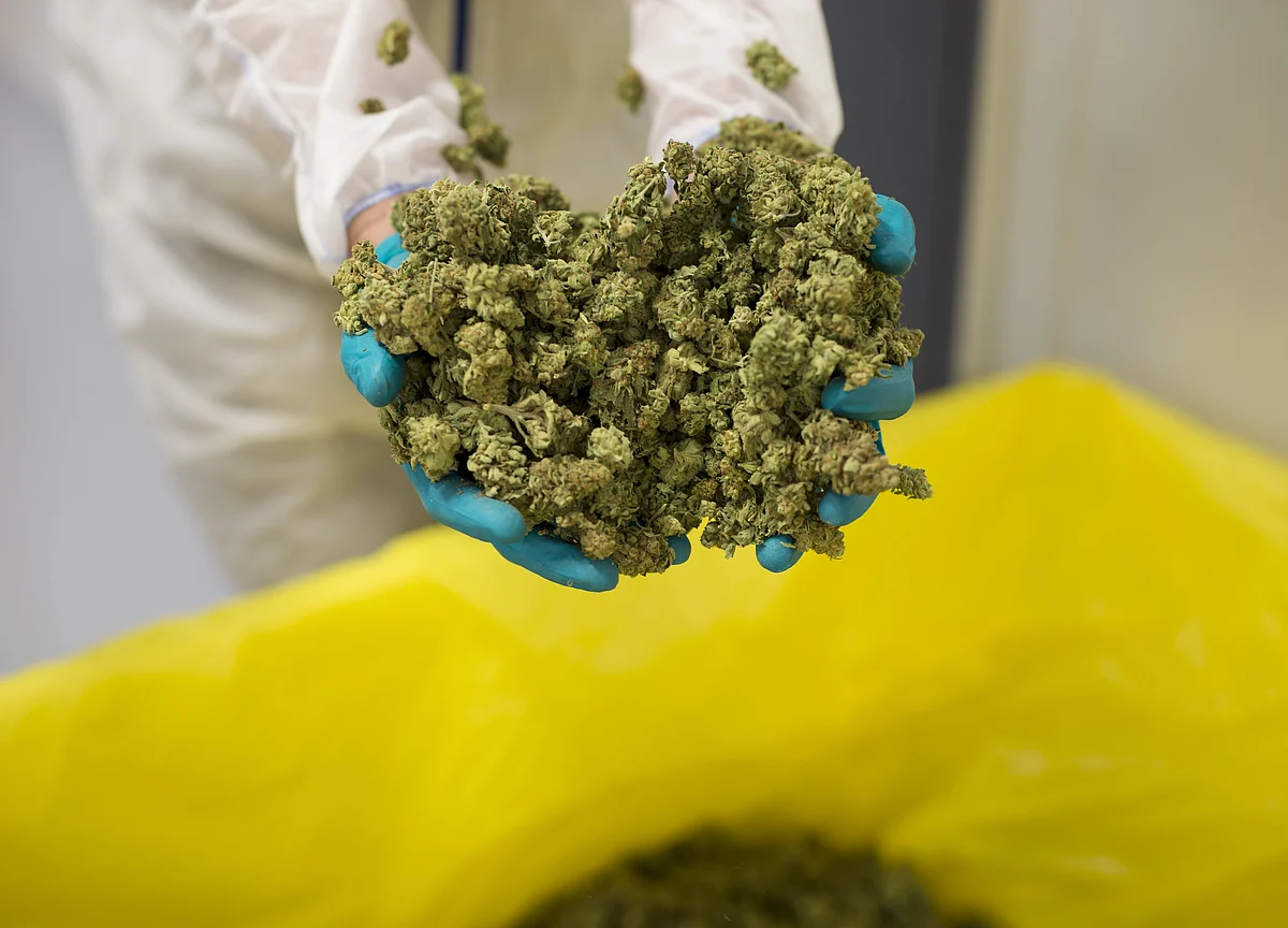 Coca-Cola Is Eyeing the Cannabis Market