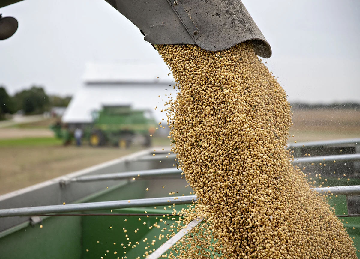 Argentina Replaces China as Biggest U.S. Soybean Buyer