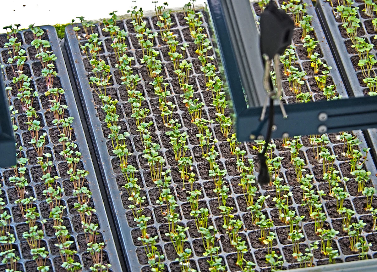 Startup Street: Robots Growing Crops– This Startup Has Alphabet And Uber CEO’s Attention