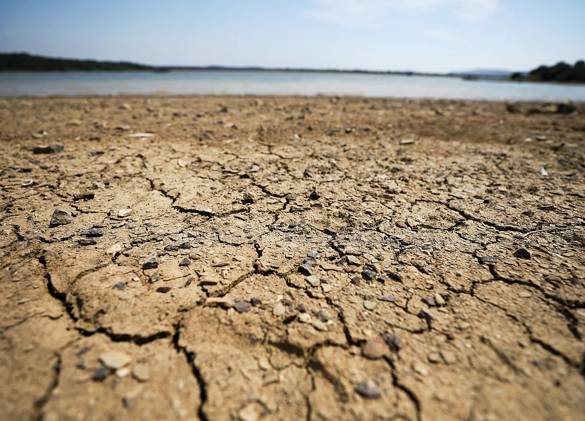 World Bank Group to Raise $200 Billion to Fight Climate Change