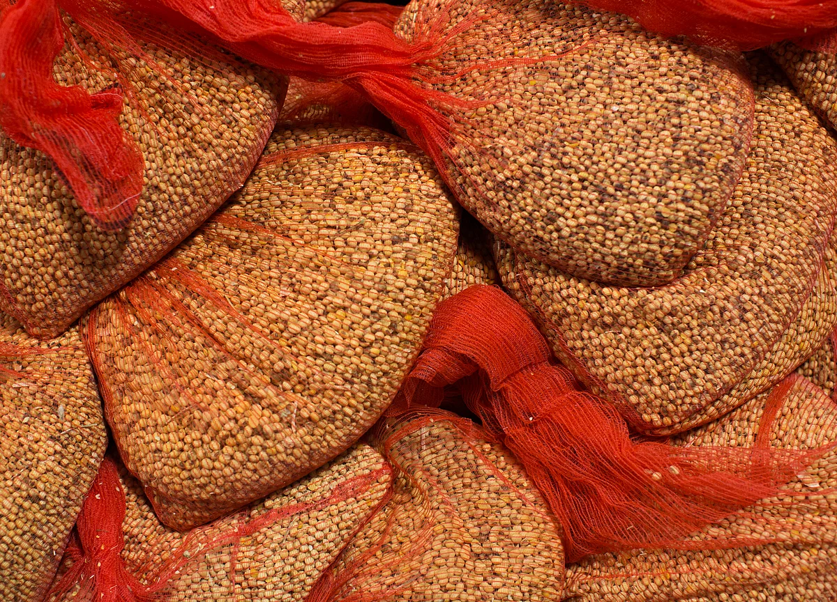 China Buys Brazilian Soybeans Before Trade Deal With U.S.