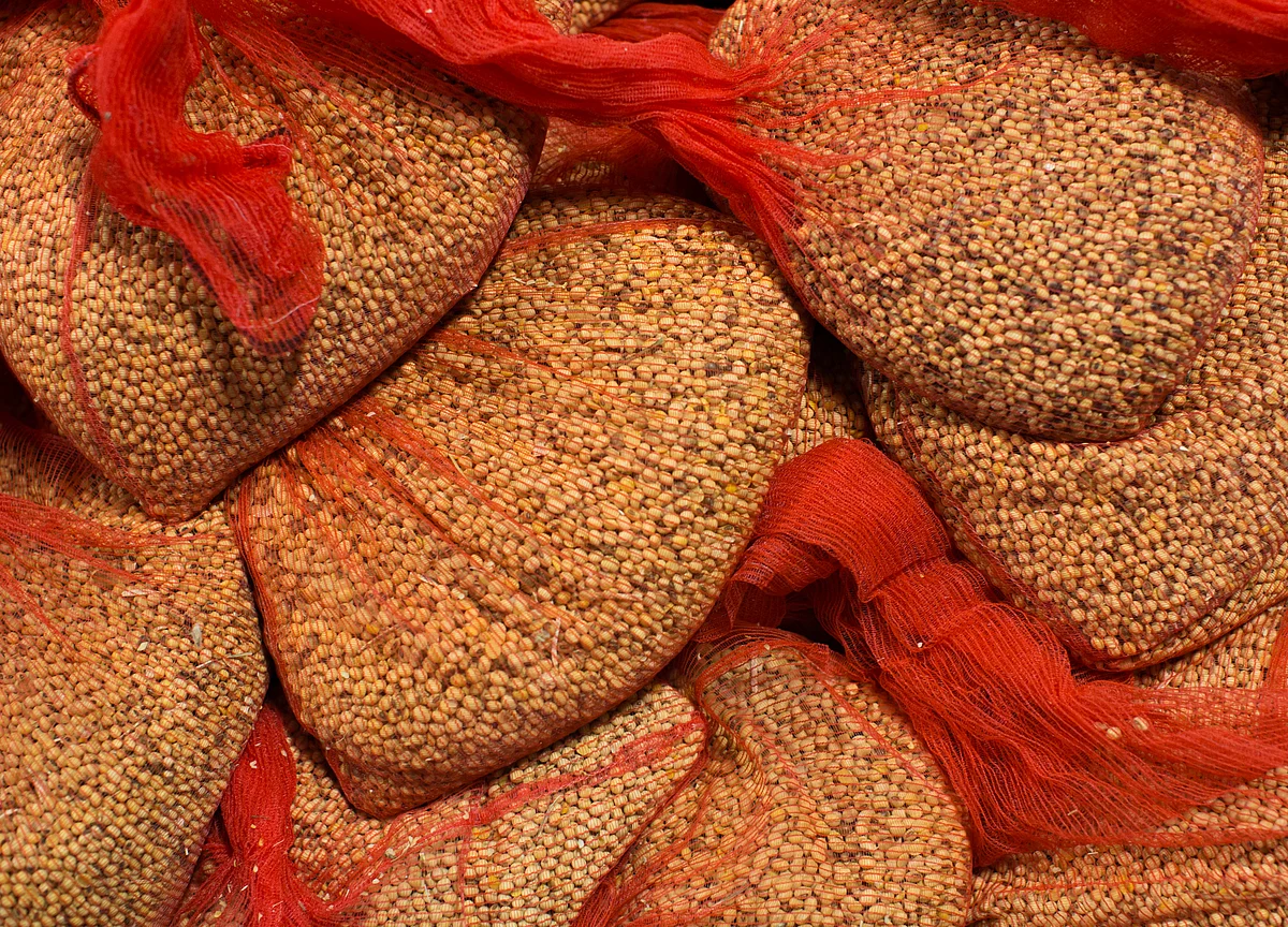 Soybeans May Be Next Market to Surge as U.S. Showers Drag On