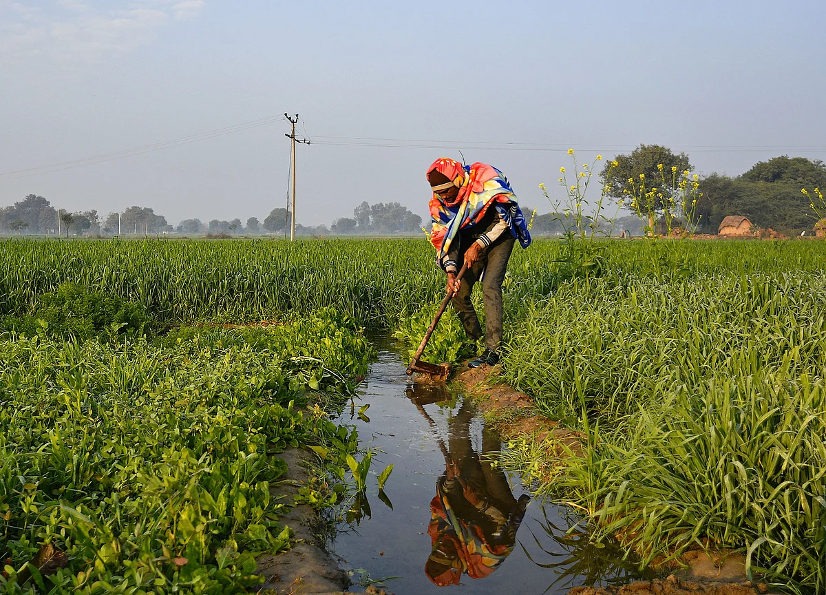 Government Plans A Dedicated Cell To Promote Agricultural Startups