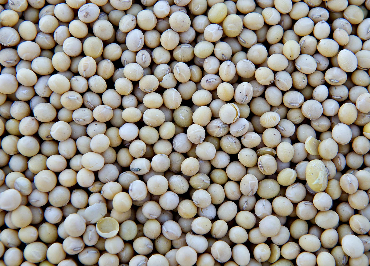 China to Announce Resumption in U.S. Soy Purchases Soon