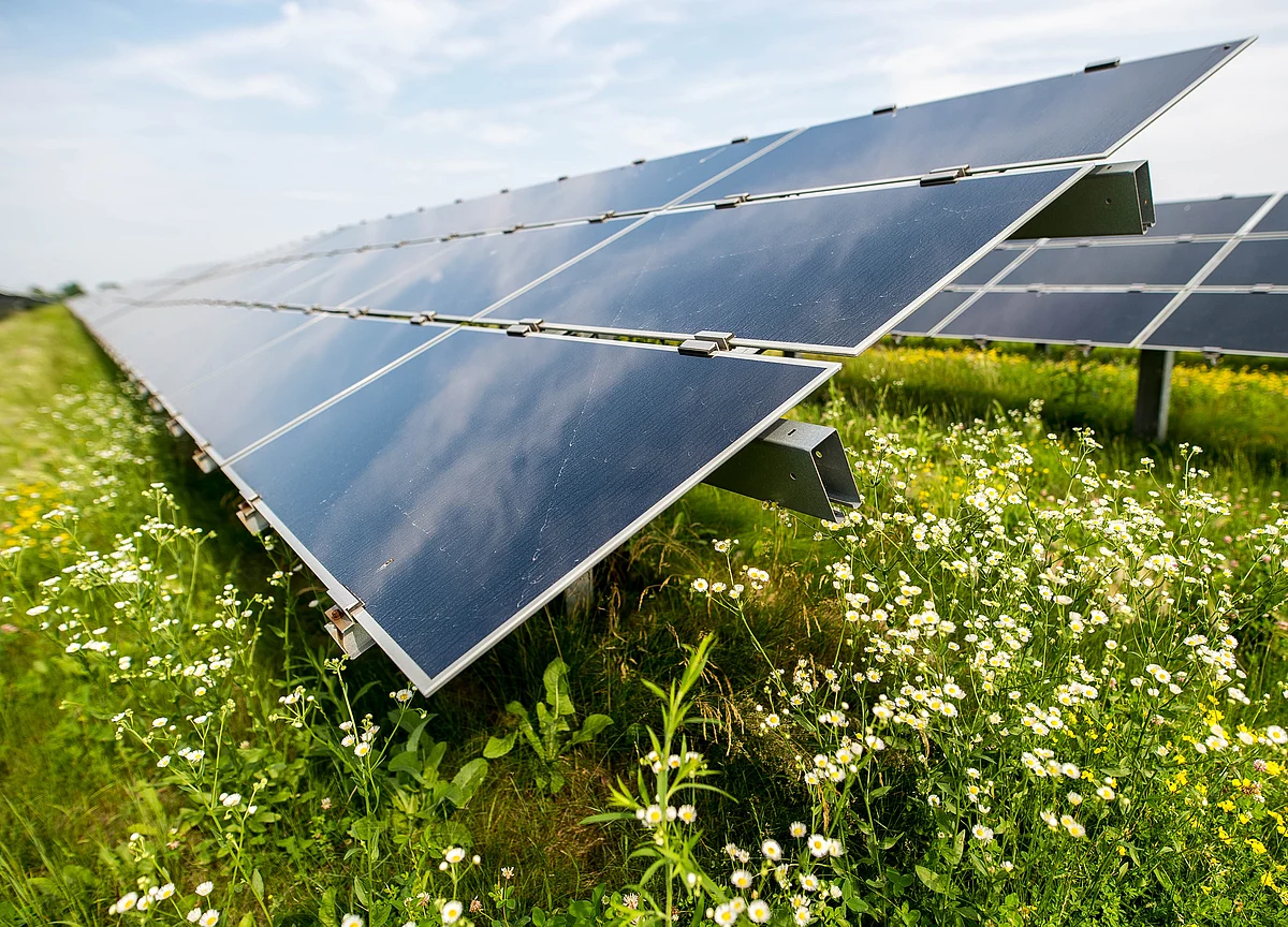 Fund Crunch Eclipses Modi’s Plan To Promote Solar Power Among Farmers