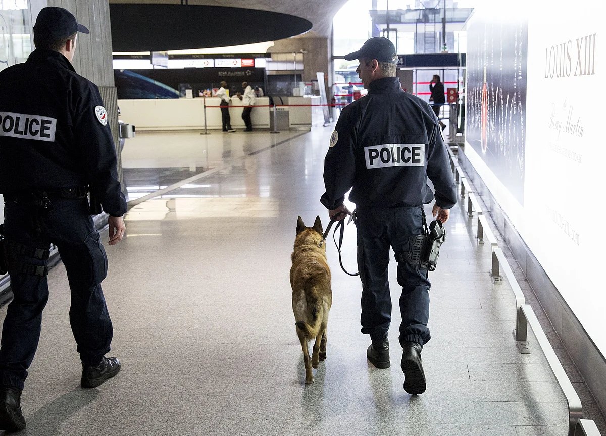 U.S. Airlines Need More Bomb-Sniffing Dogs in a Hurry