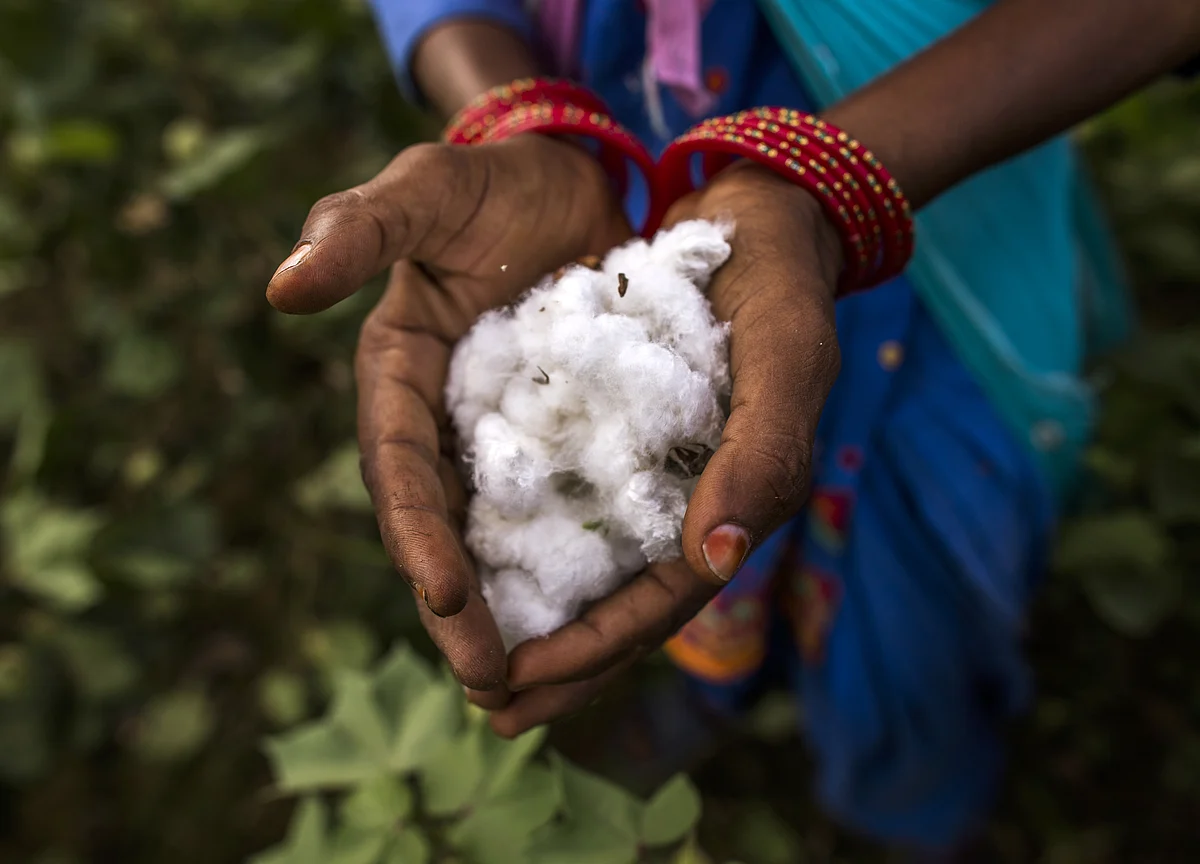 India Plans to Sell Cotton to Bangladesh to Trim Record Reserves