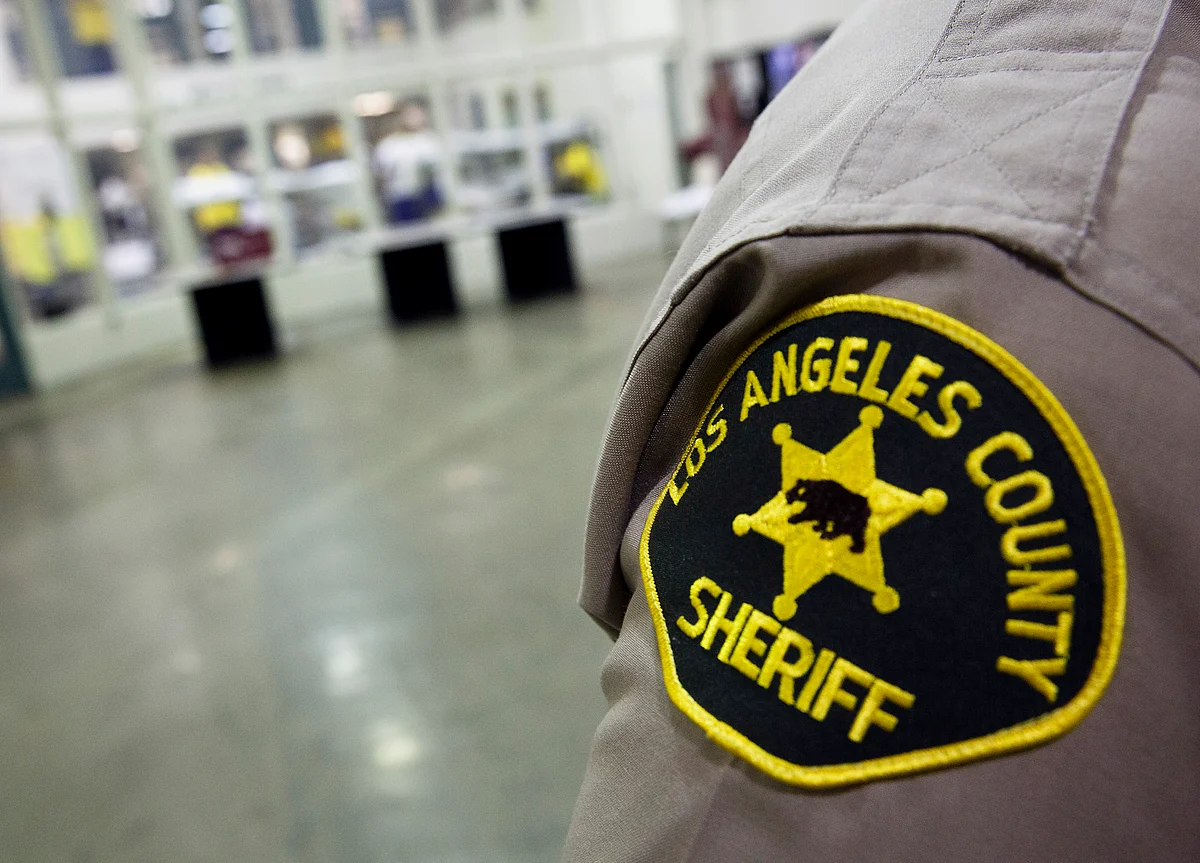Hedge Fund Tycoon Robert Mercer’s Sheriff’s Badge Has Been Revoked