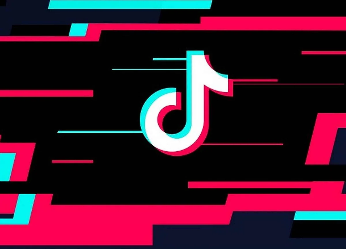 TN Govt Wants TikTok Banned, MLA Says It’s Ripping Families Apart