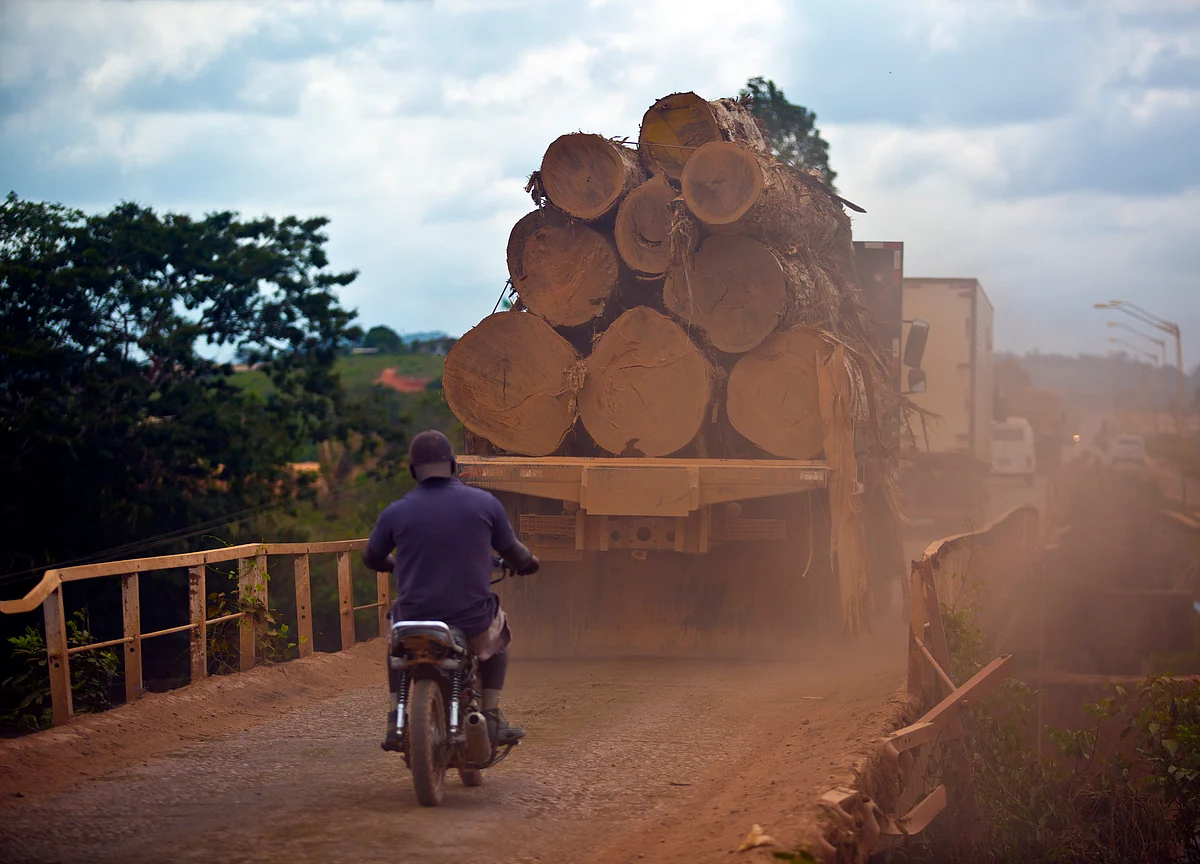 Cargill Plans to Work With Farmers on Save-the-Forest Initiative