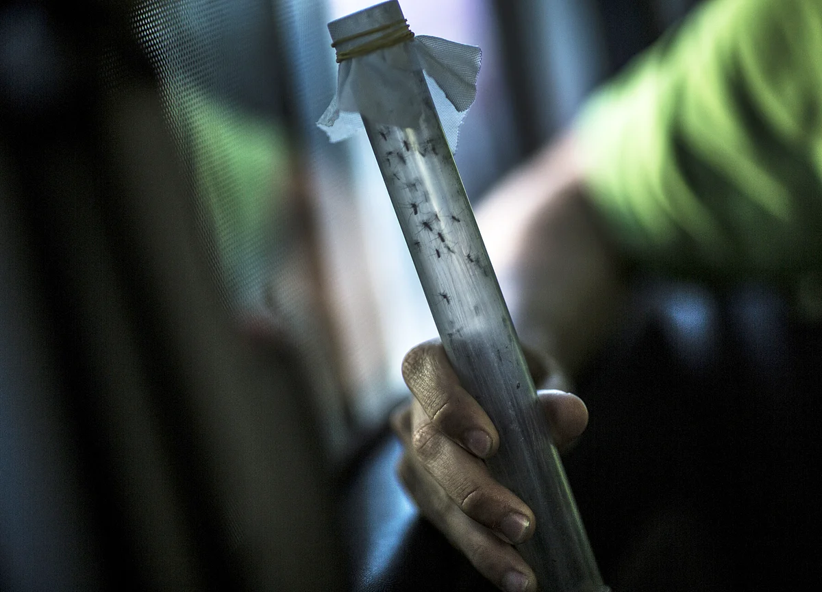 The Philippines Permanently Bans a Dengue Vaccine That Set Off Health Scare
