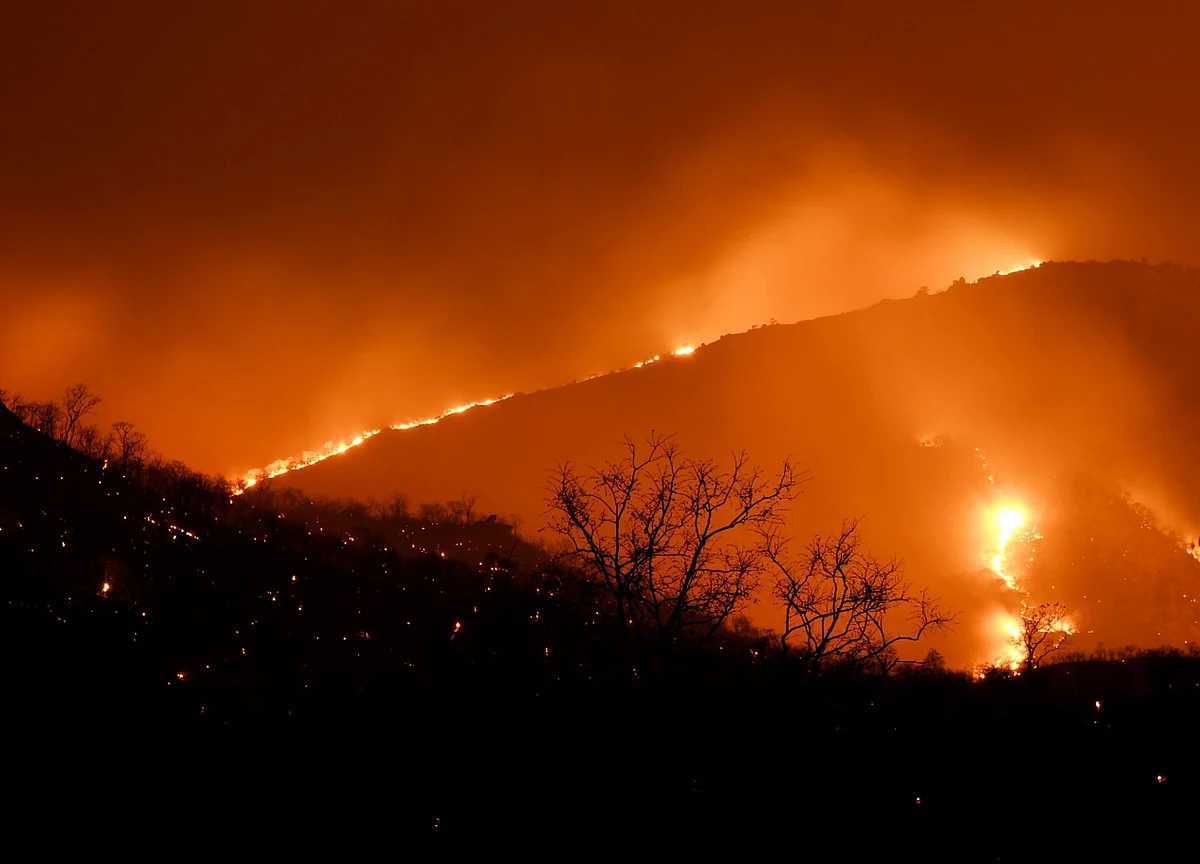 ISRO Says 10K Acres of Bandipur Burnt, Officials Downplay Damage