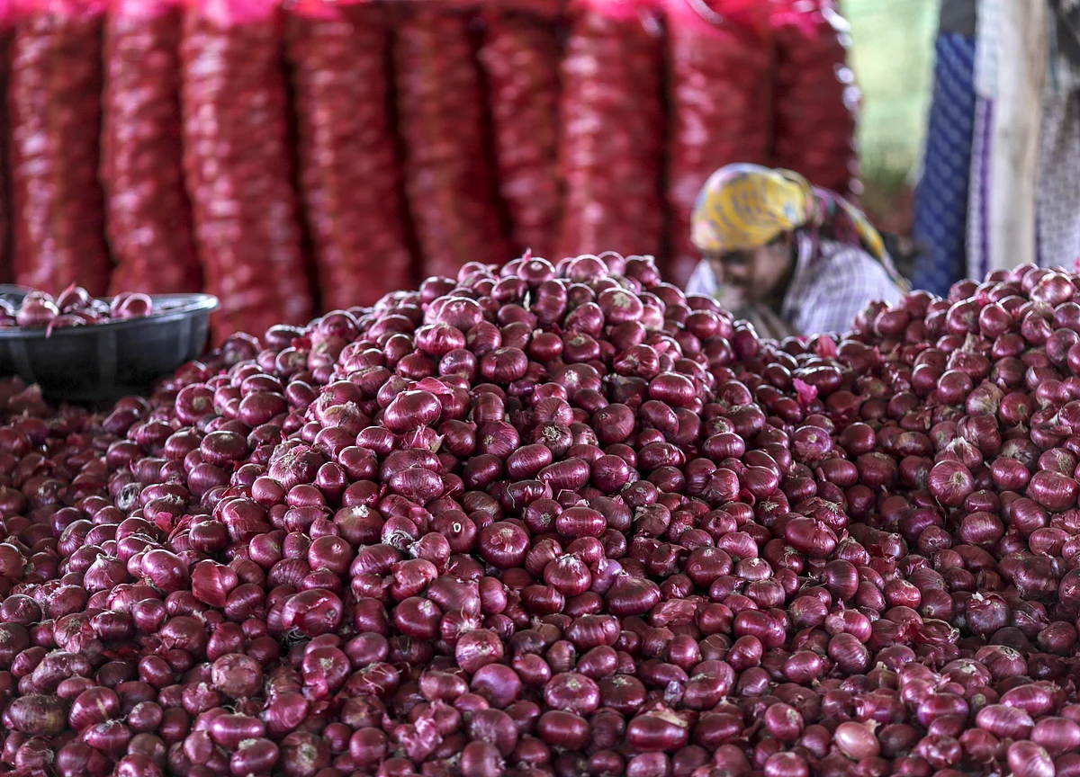 MMTC Importing Onions To Meet Demand; Shipment Likely By Jan. 20