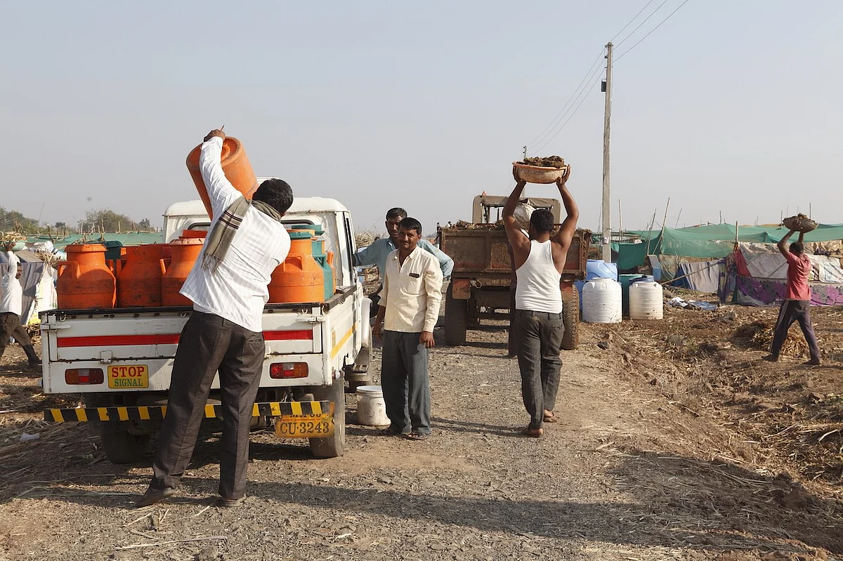 Trucks and tempos carry away the dung and milk from the camp. (Photographer: Binaifer Bharucha/People’s Archive of Rural India)