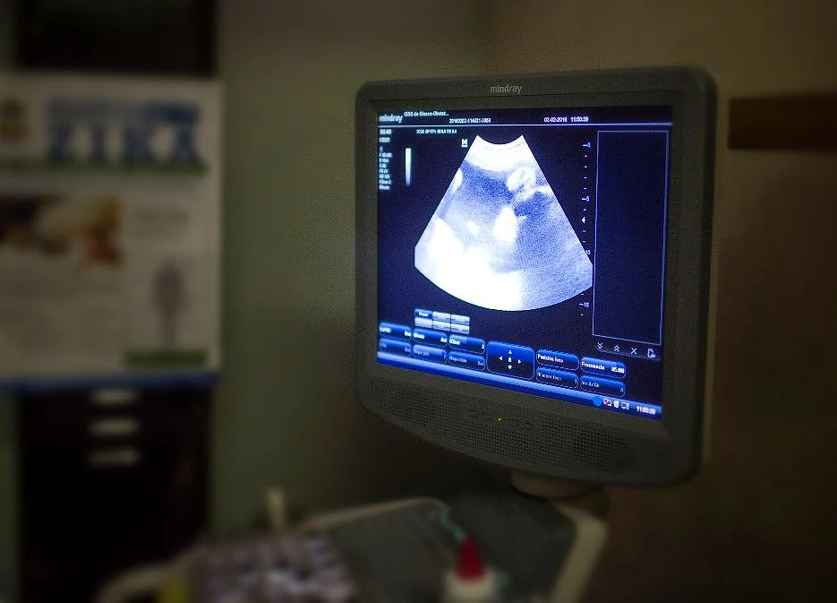 Top Genetics Experts Call for Ban on Modifying DNA of Embryos