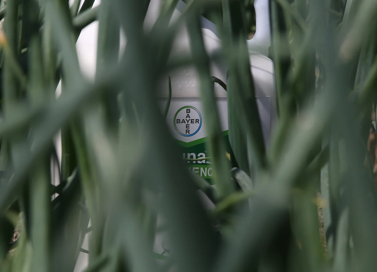 Bayer Gets Boost From Agriculture as Investor Meeting Looms