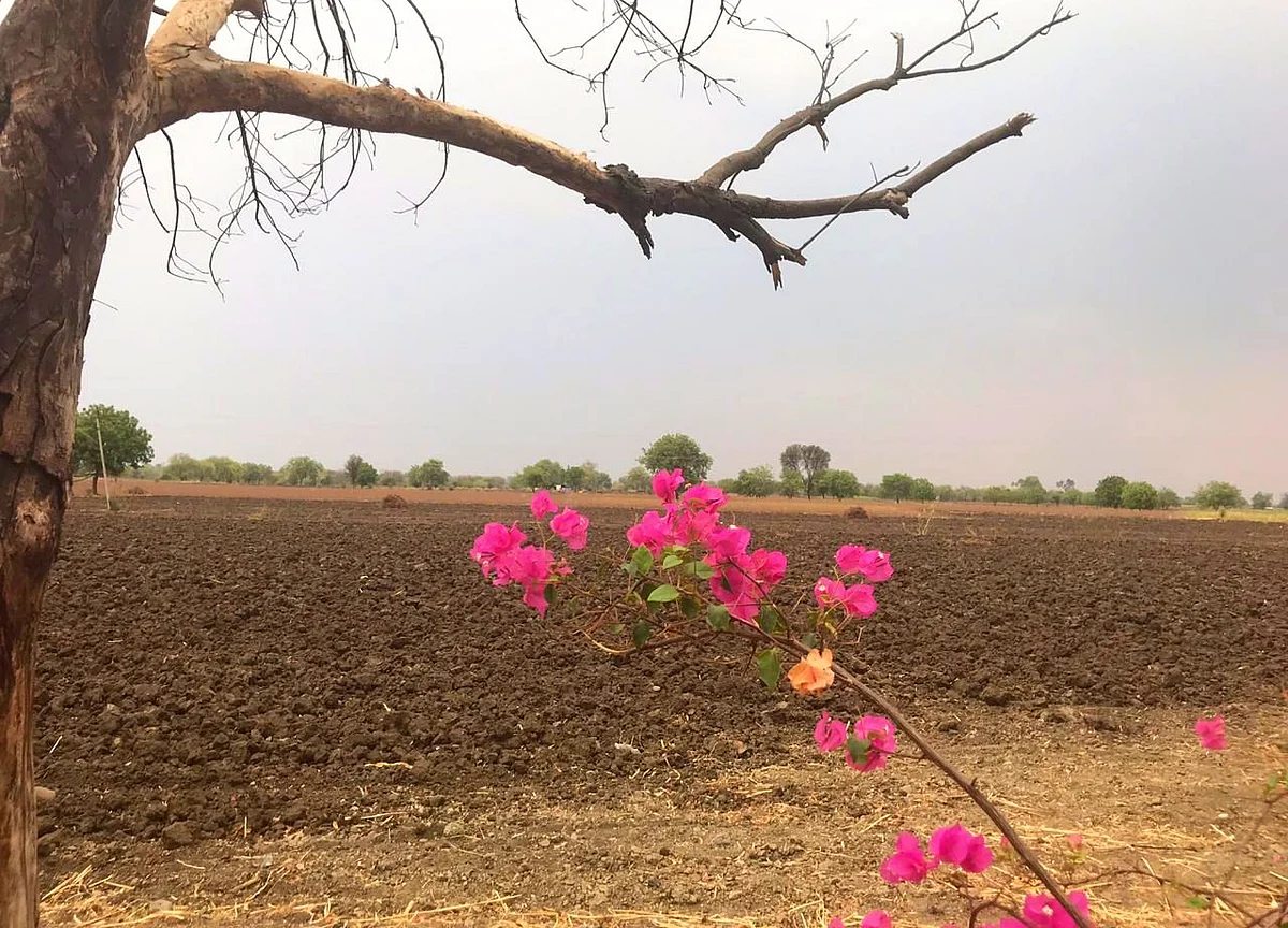 Parched Beed Is Caught In A Vicious Cycle Of Drought And Unemployment