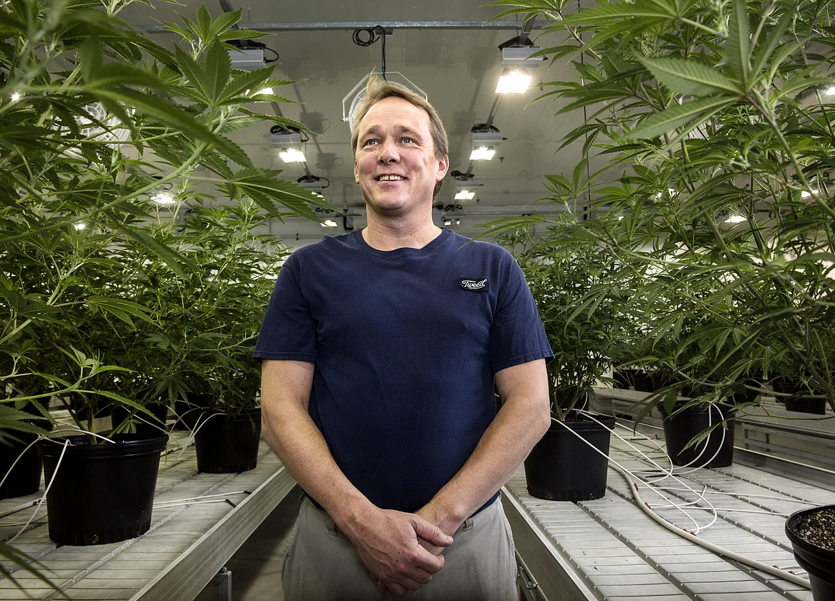 Five Years Later, the First Pot Stock Is Up 2,139% Since Its Debut