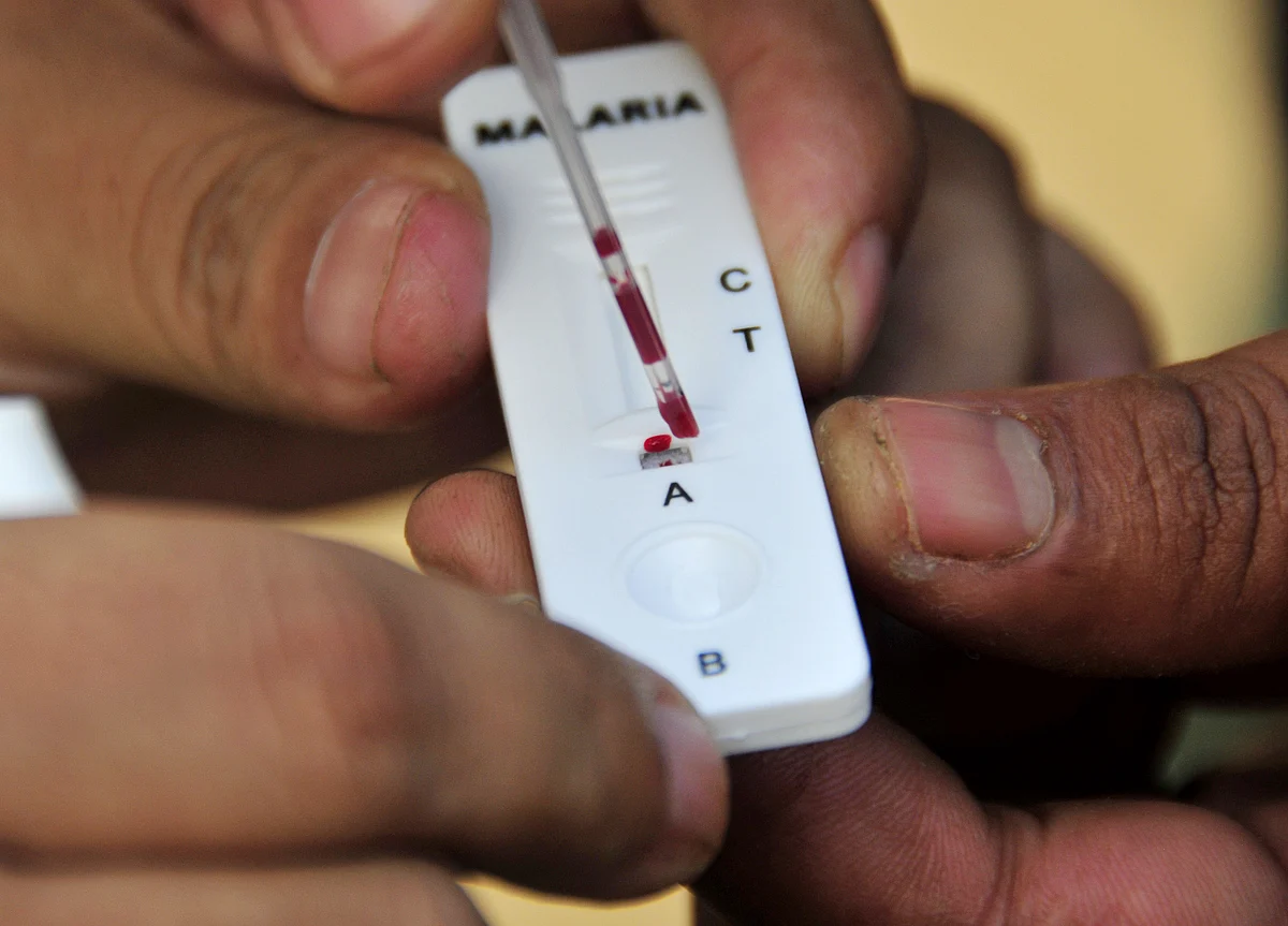 Malaria Vaccine Took 30 Years. It’s Still a Work in Progress