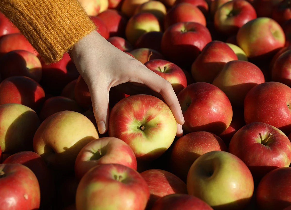 It Isn’t Just Meat That’s Killing You