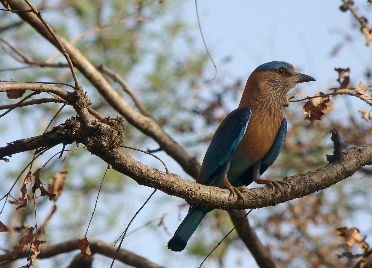 Nature Trails: What Wildlife Conservationists Read