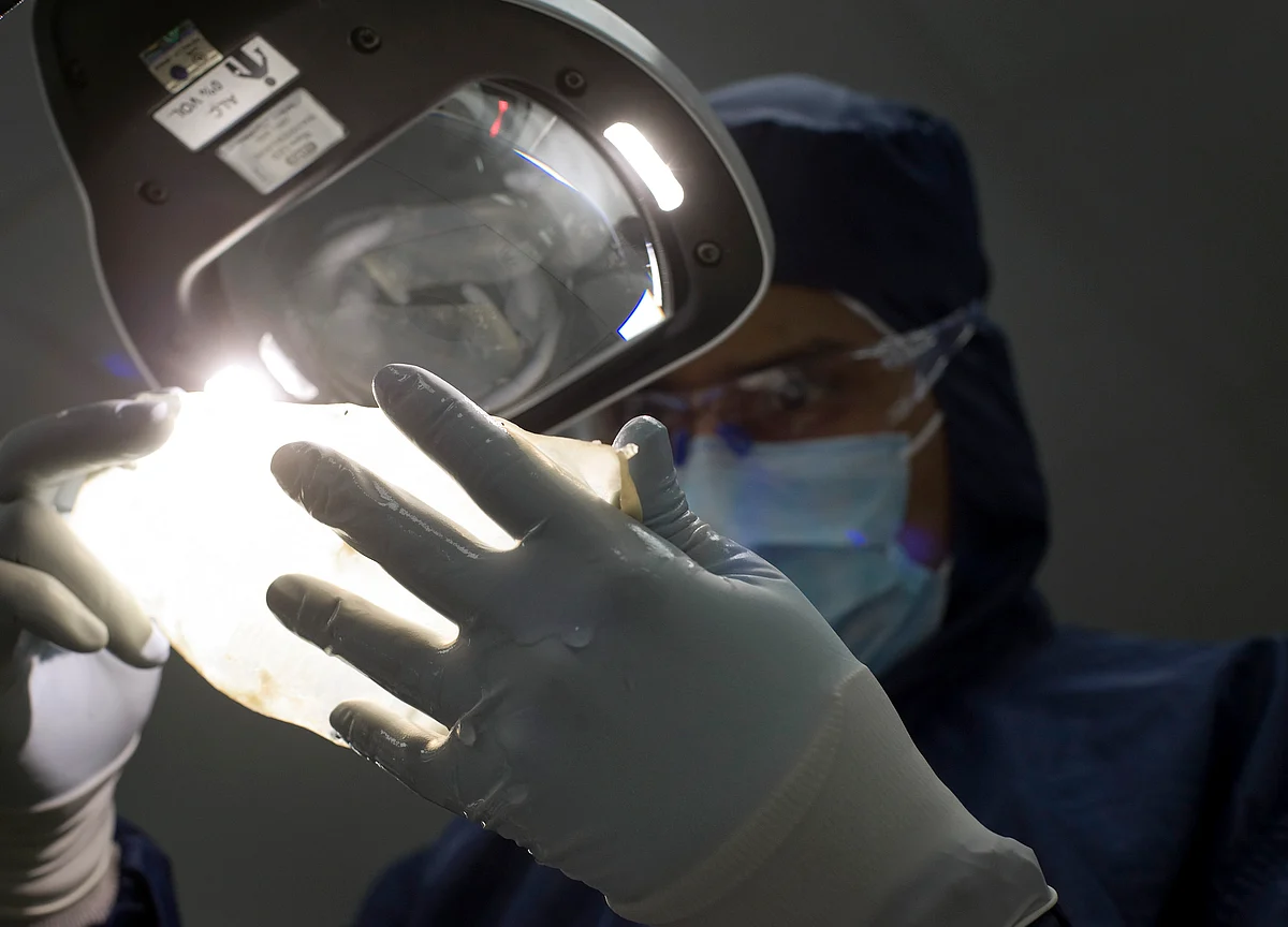 European Regulators Approve Sales of First Artificial Heart