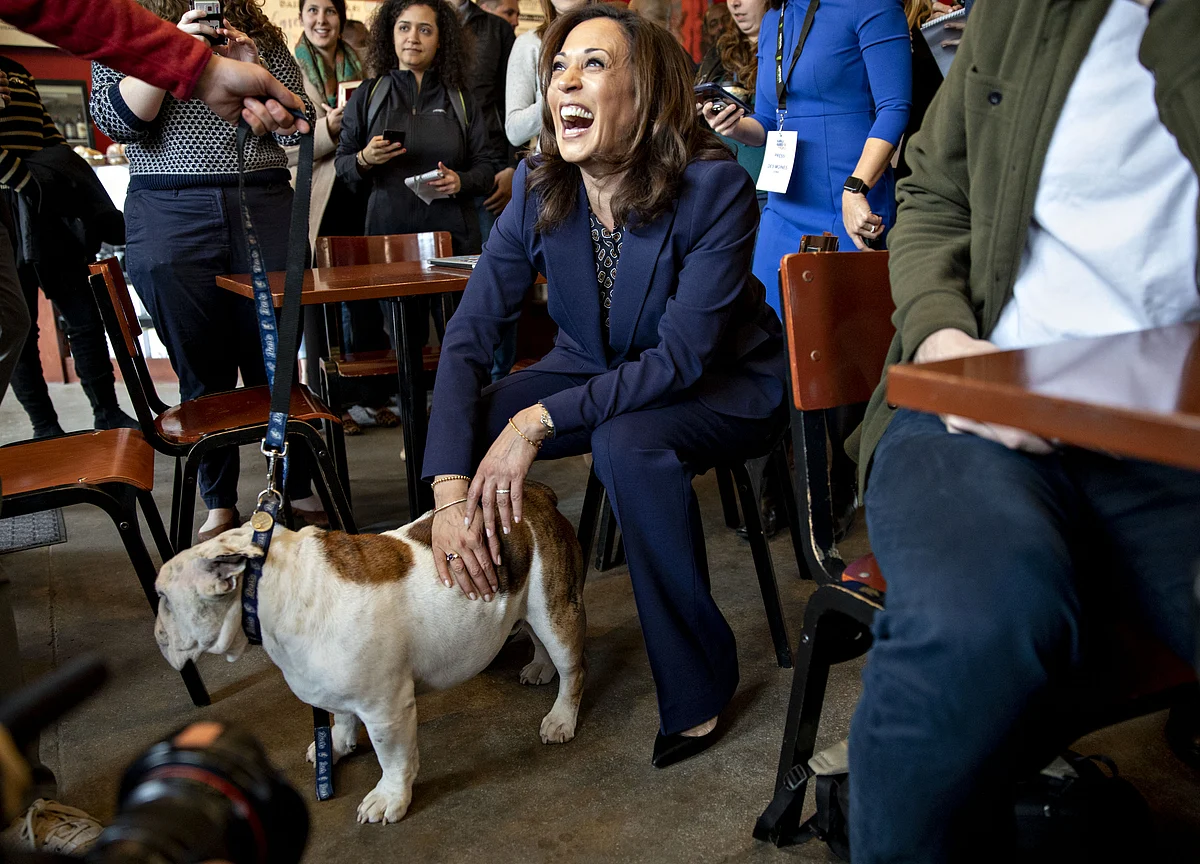 Kamala Harris Shows Income Topping $2 Million on Tax Return