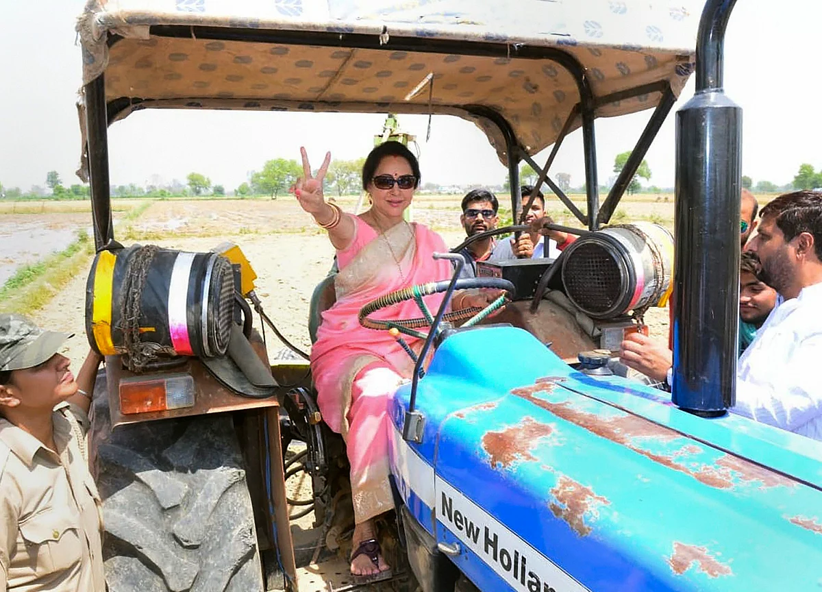 Celebrity MPs: Lower Attendance, But More Efficient With Development Funds