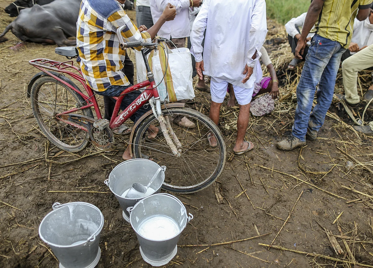 Hatsun Agro To Set Up A 2.5-Lakh Litre Plant In Maharashtra This Year